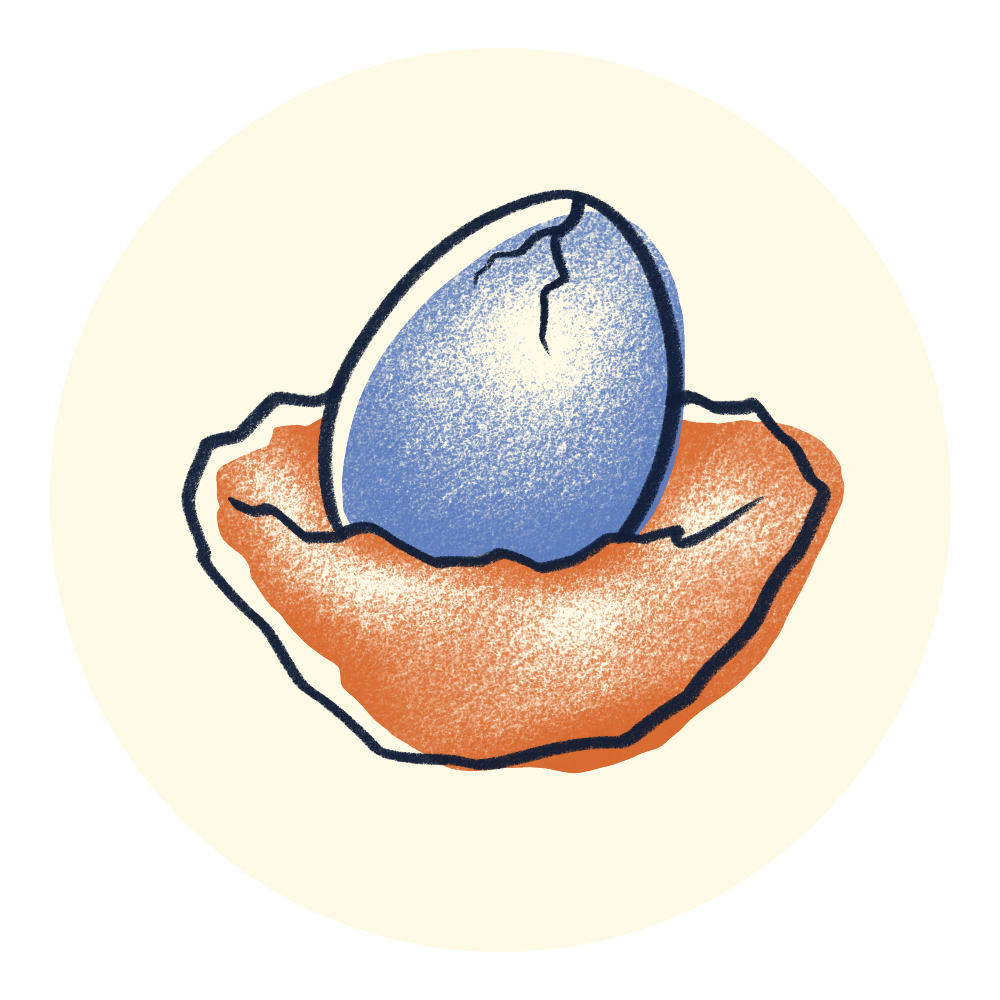 Página en construcción